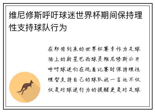 维尼修斯呼吁球迷世界杯期间保持理性支持球队行为
